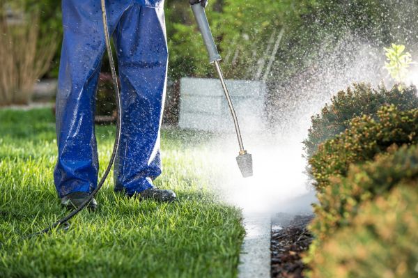 Cost of Curb Cleaning in Navarre