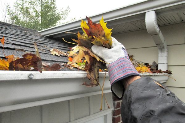 Cost of Eaves Cleaning in Navarre